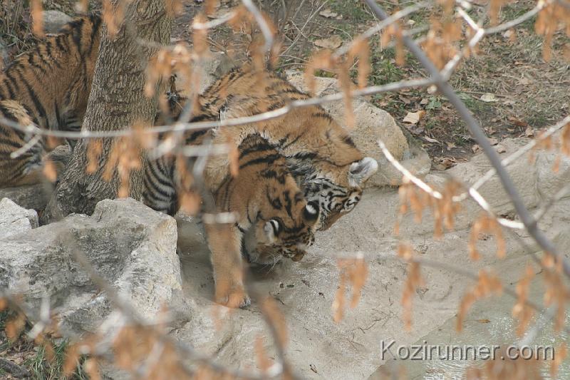 _MG_2862.JPG