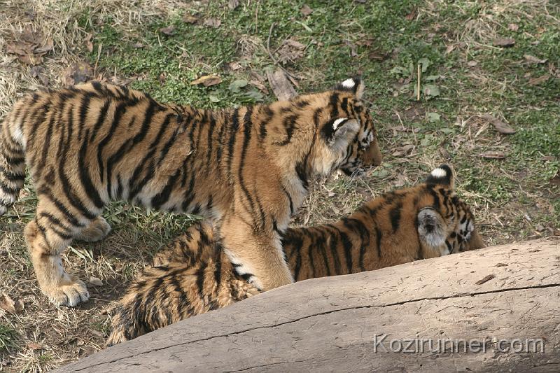 _MG_2863.JPG