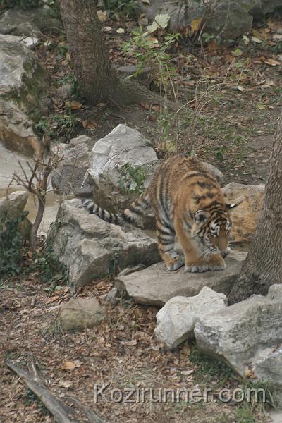 _MG_2864.JPG