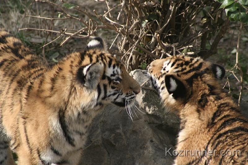 _MG_2882.JPG