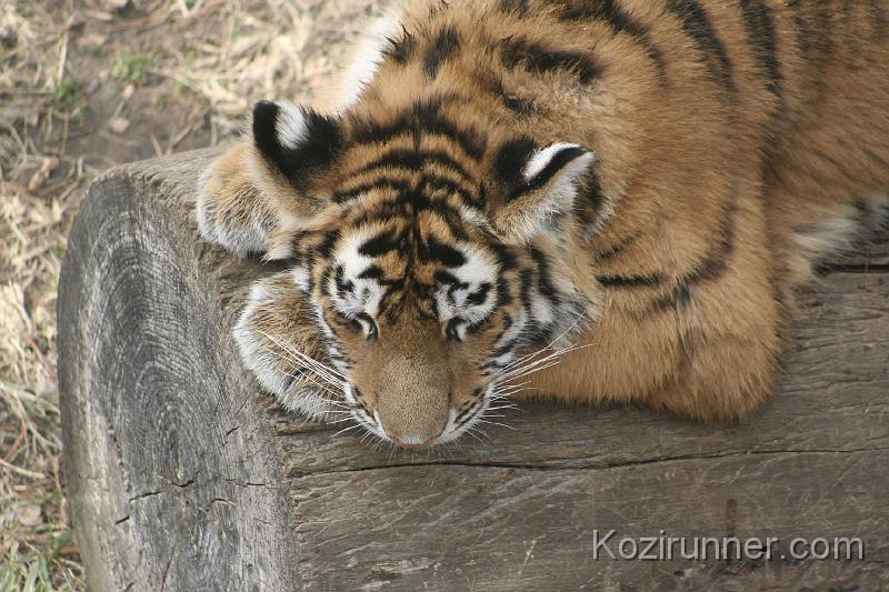 _MG_2885.JPG