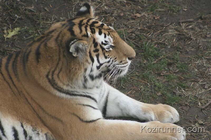 _MG_2886.JPG
