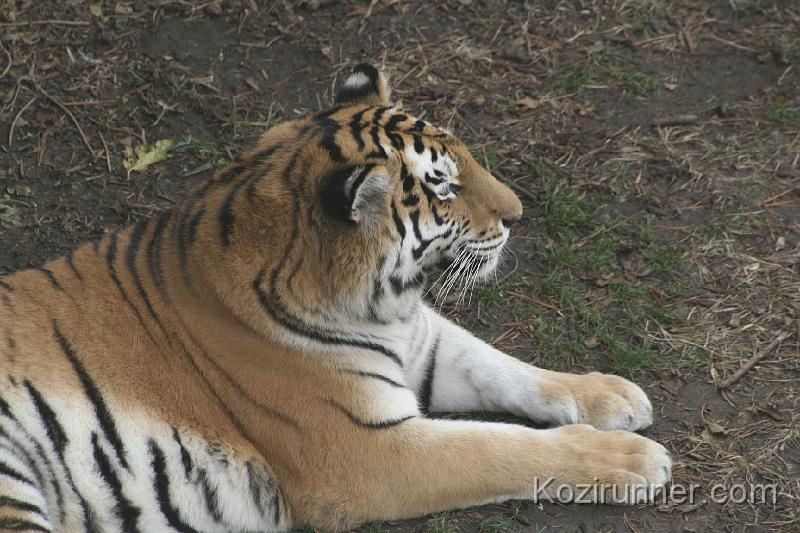 _MG_2887.JPG
