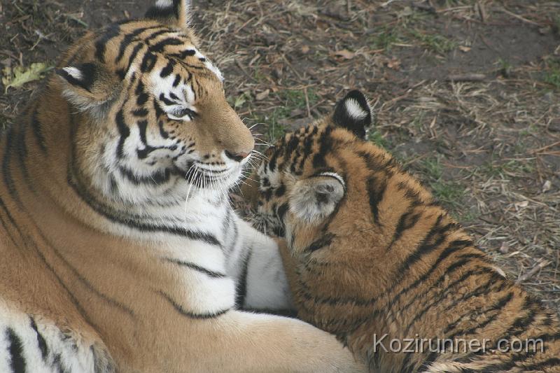 _MG_2891.JPG