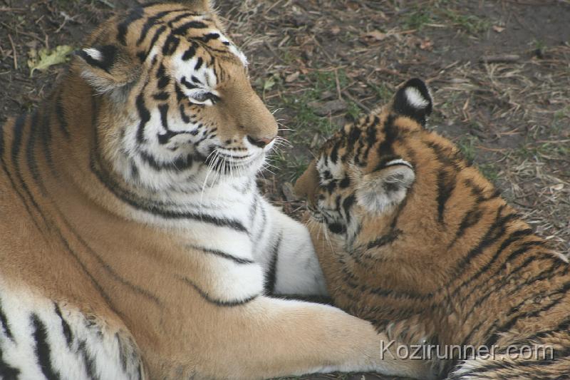 _MG_2892.JPG