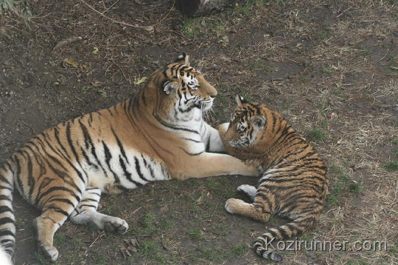 _MG_2894.JPG