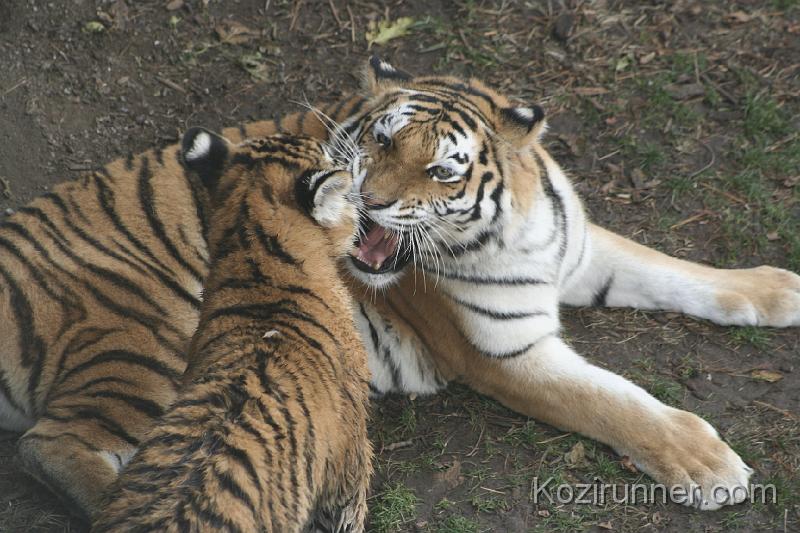 _MG_2895.JPG