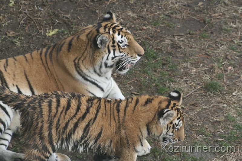 _MG_2897.JPG