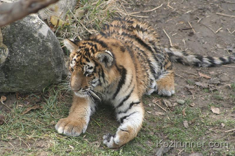 _MG_2898.JPG