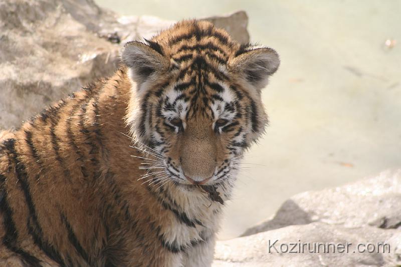 _MG_2902.JPG
