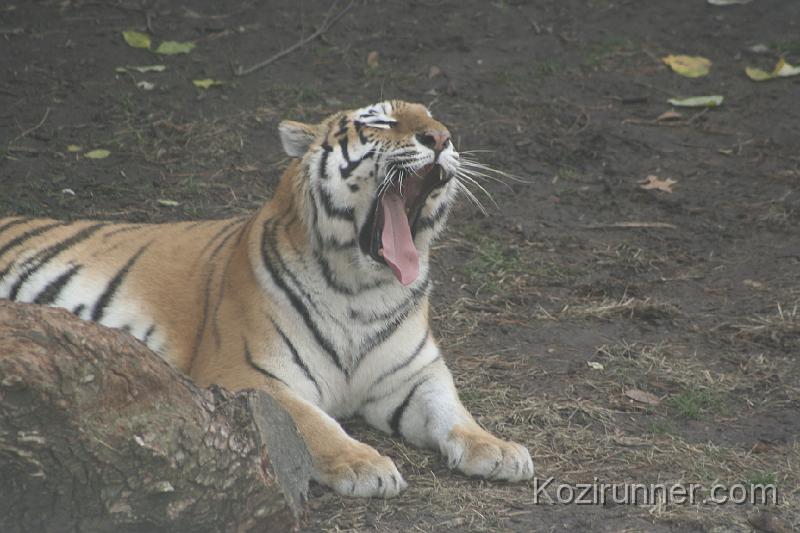 _MG_2904.JPG