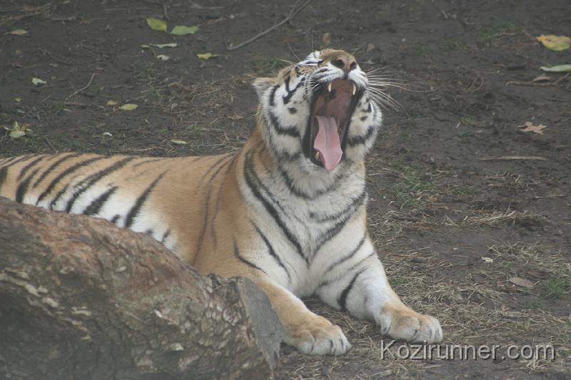 _MG_2905.JPG