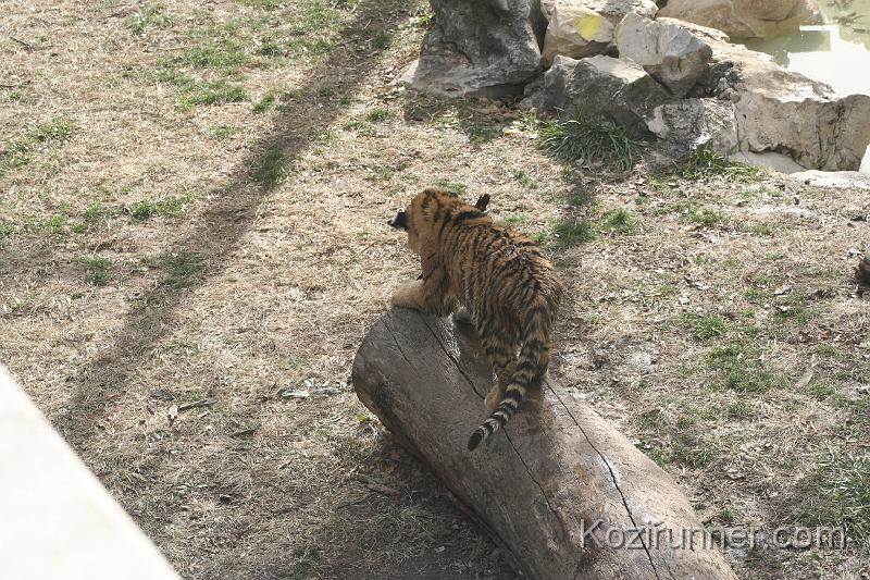 _MG_2911.JPG